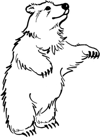 Brown Bear Coloring Page